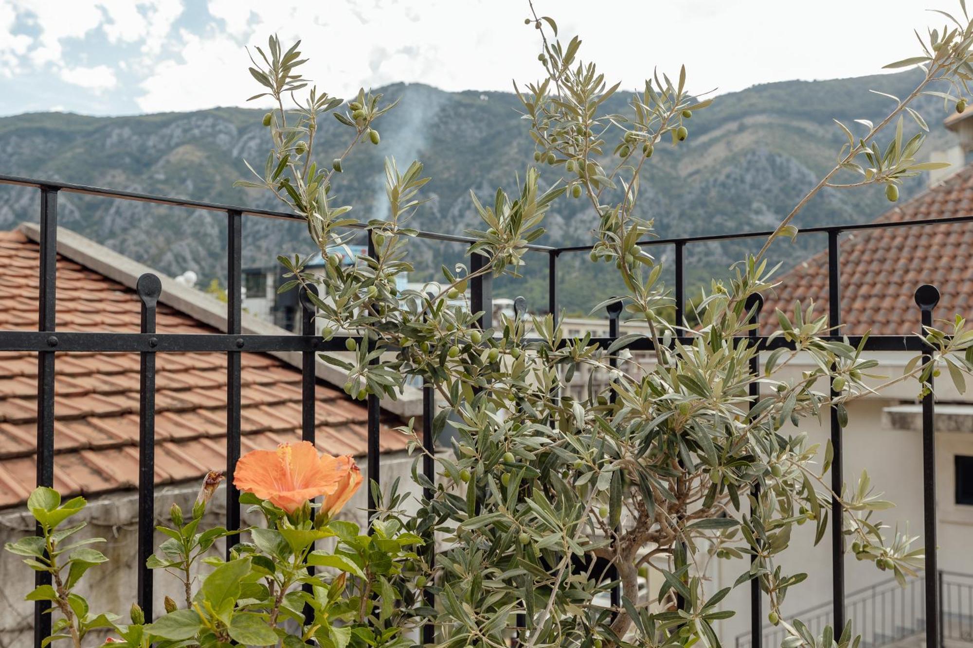Kotor Central Point Kültér fotó